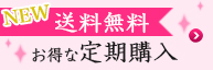 送料無料　お得な定期購入